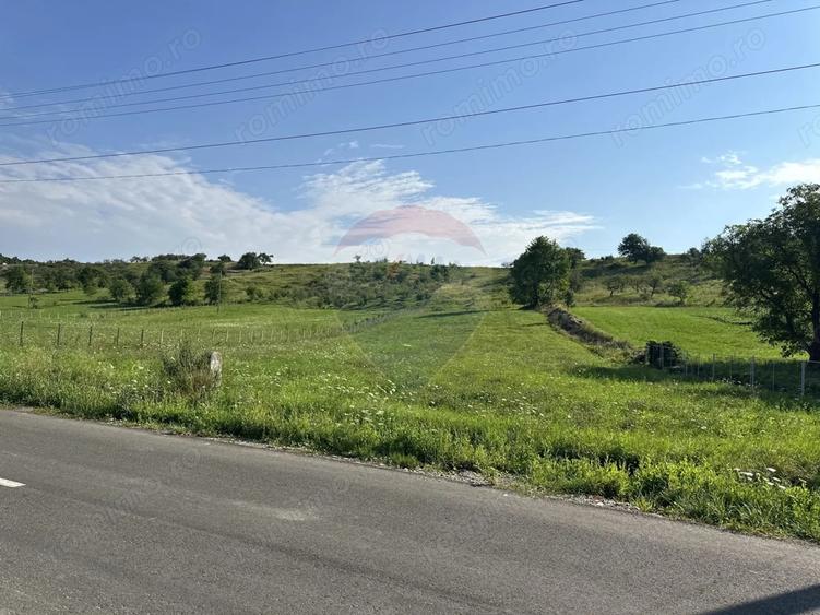 Teren de 8300 mp, în Negrești (Dobreni)