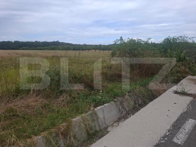 Teren Construcții intravilan de 2500 mp, în Șuța Seacă