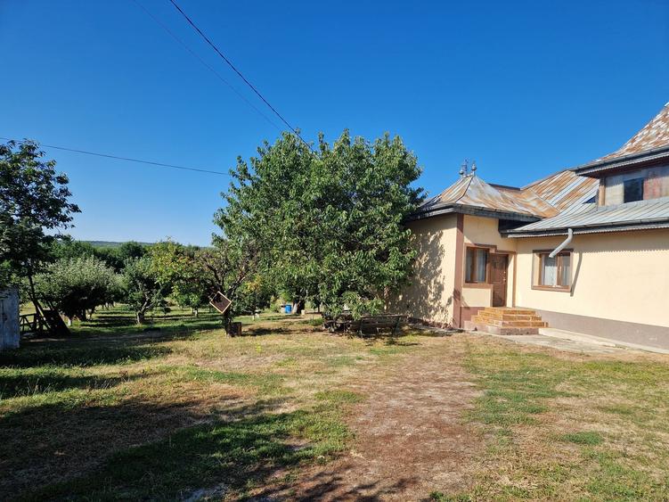 Casă cu 4 camere cu Teren 3473 Mp în Bucium