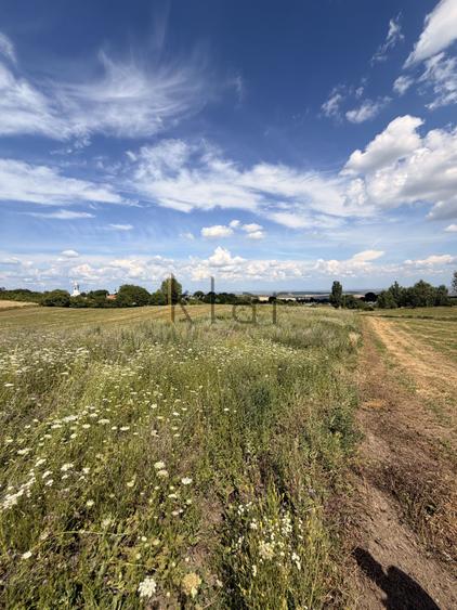 Teren Construcții intravilan de 2900 mp, în Aiton