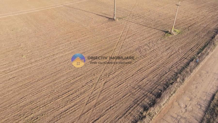 Teren investiție intravilan 3600 mp – Dumbrava Roșie - 4