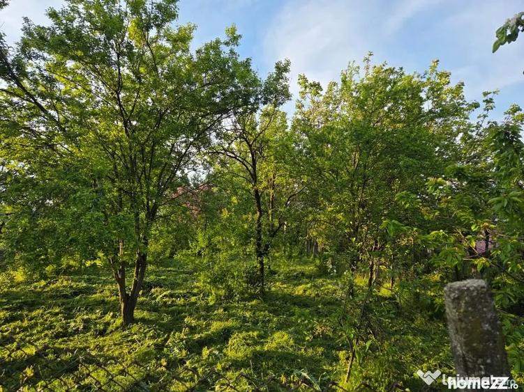 Garsonieră în Moșteni