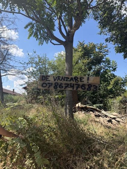 Teren de 3200 mp, în Dridu