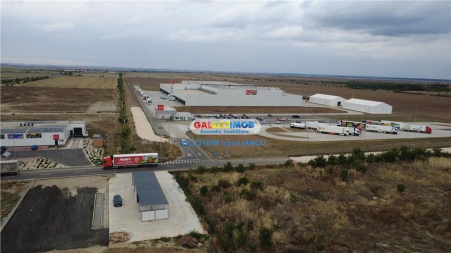 Teren de 6147 mp, în Mihăilești