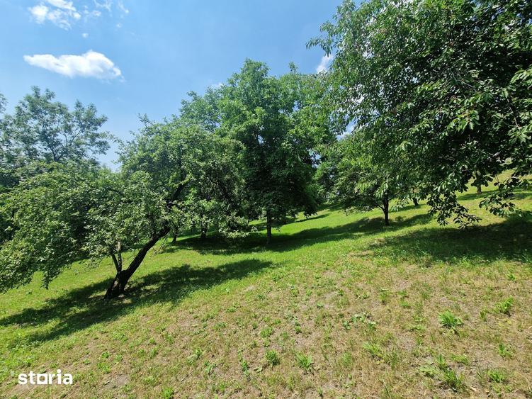 Teren de 3910 mp, în Secăriei