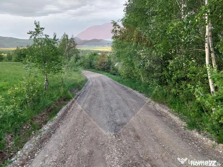 Teren în Tohănița