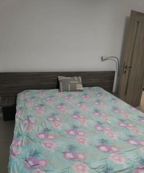 Apartament cu 2 camere decomandat, mobilat în Doamna Ghica