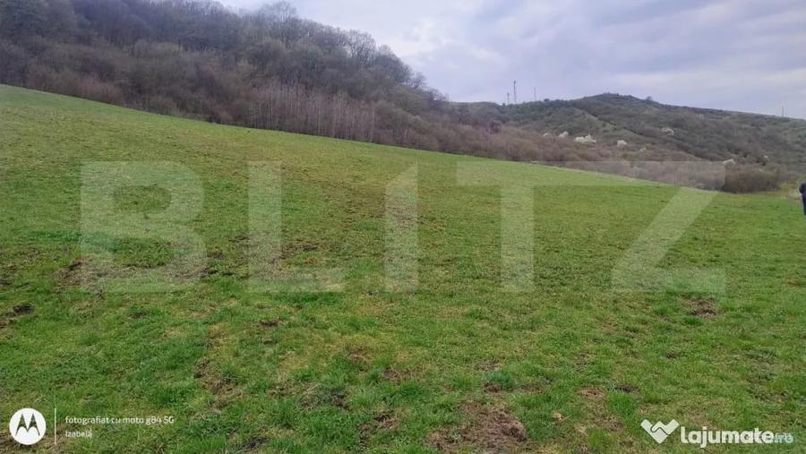 Teren superb 2.500 mp in Nicula lini?te, natura ?i p - 2