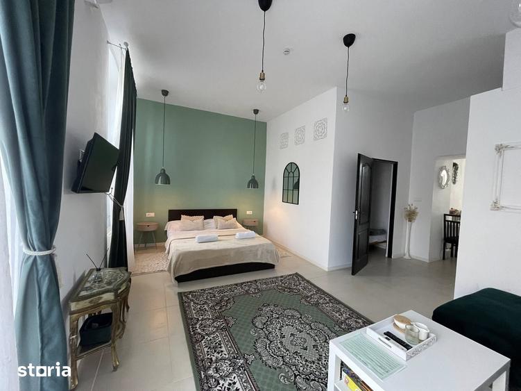 Apartament cu 2 camere, mobilat în Iosefin