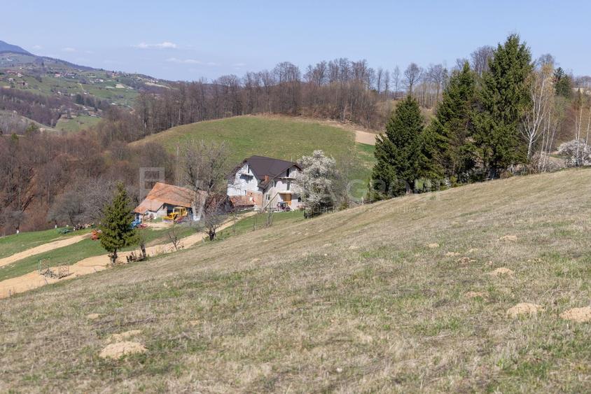 Teren Construcții intravilan de 3791 mp, în Poiana Mărului