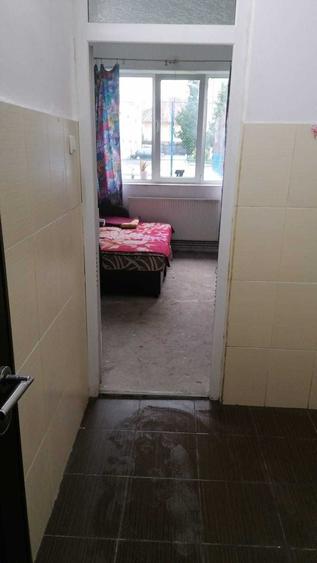 Garsonieră nedecomandată în Terezian