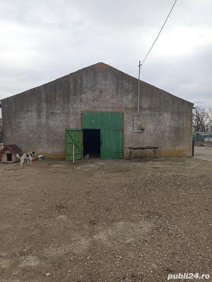 Spațiu comercial, de 480 mp, în Siliștea