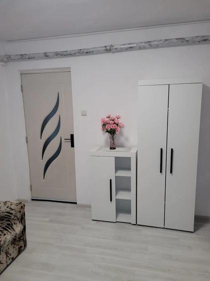 Apartament cu 2 camere semidecomandat în Neptun