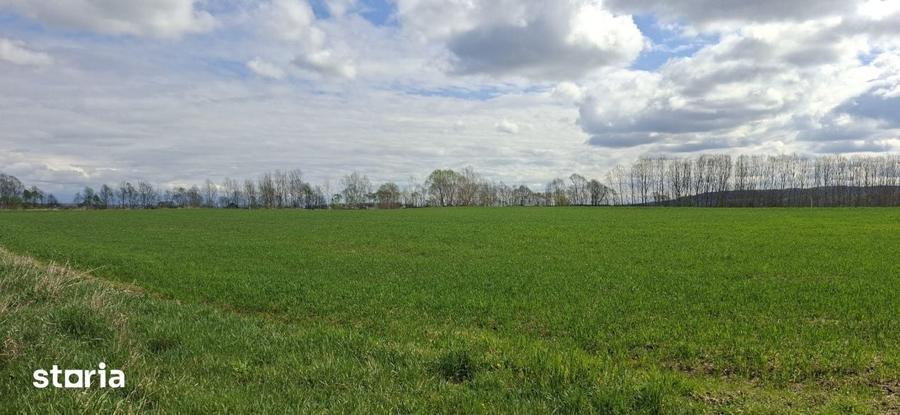 Vanzare teren intravilan 20.386 mp in Calnictraversat de rau, 19 km - 5