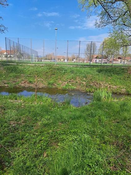 Teren de 7526 mp, în Băcia