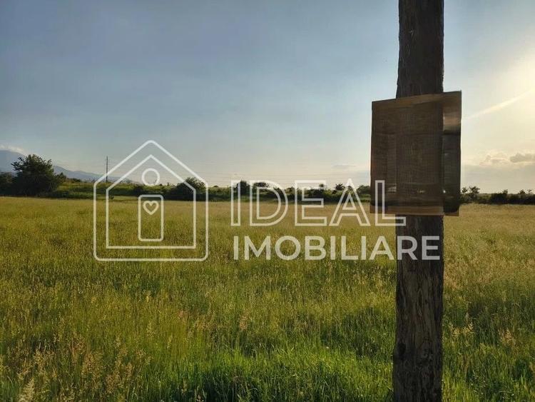Teren agricol extravilan de 1800 mp, în Cârțișoara