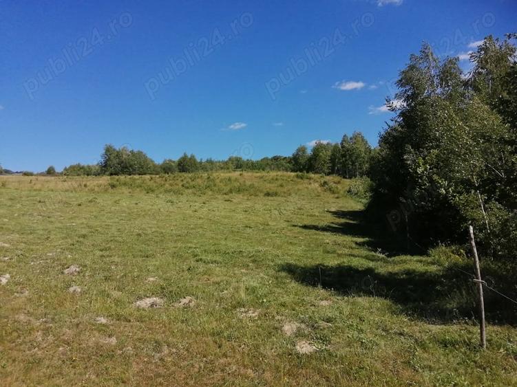 Teren de 20000 mp, în Ciucea