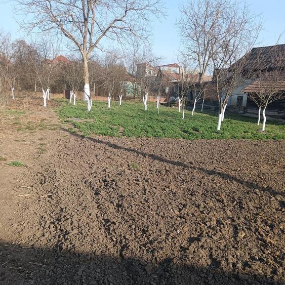 Casă cu 3 camere în Central