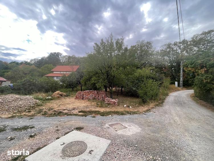 Teren intravilan de 1.125 mp la liziera Padurii Gheorghe Doja Oradea - 5