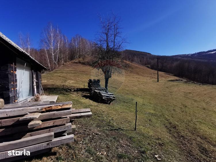 Teren de 10100 mp, în Bulz