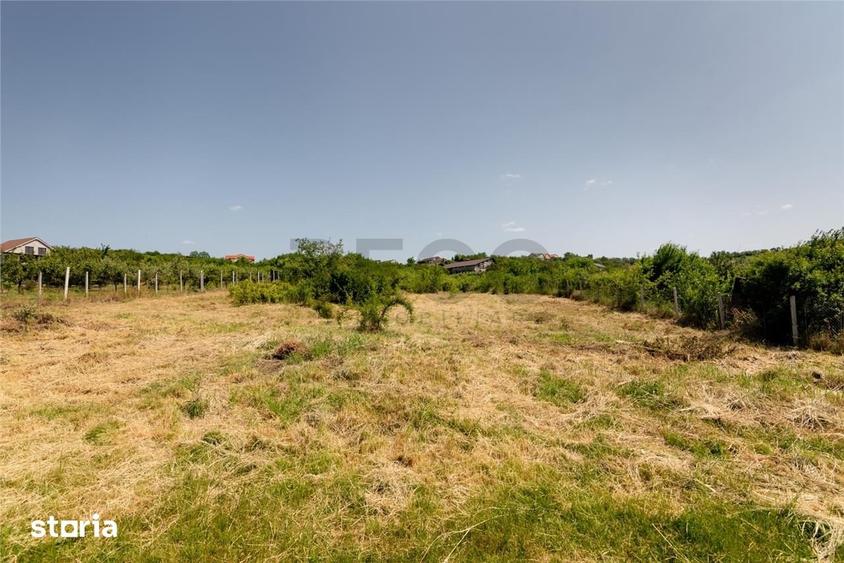 Teren de 1200 mp, în Oncea