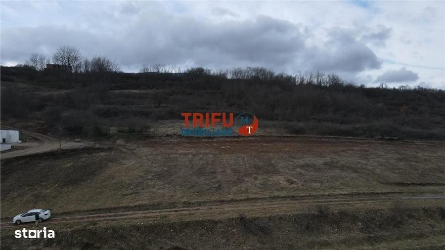 Spațiu comercial, în Cetate