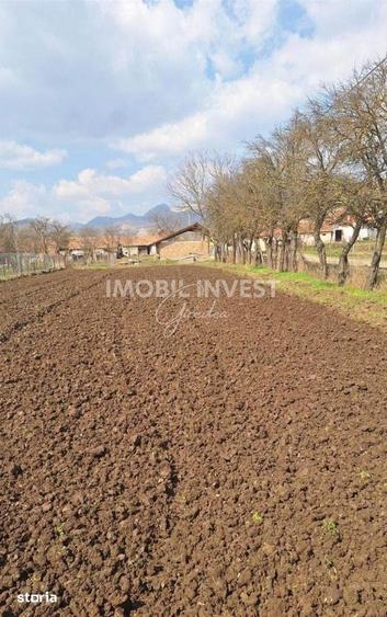 Casă cu 3 camere cu Teren 1200 Mp în Cricău