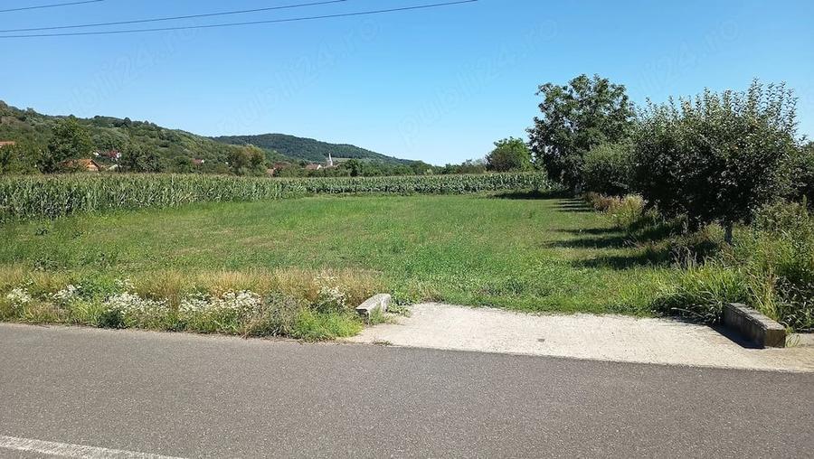 Teren de 1400 mp, în Săbișa