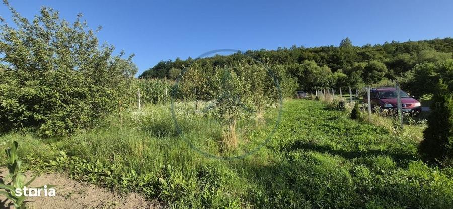 Casă în Valea