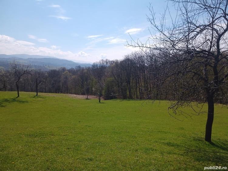 Teren de 17264 mp, în Pietroasa