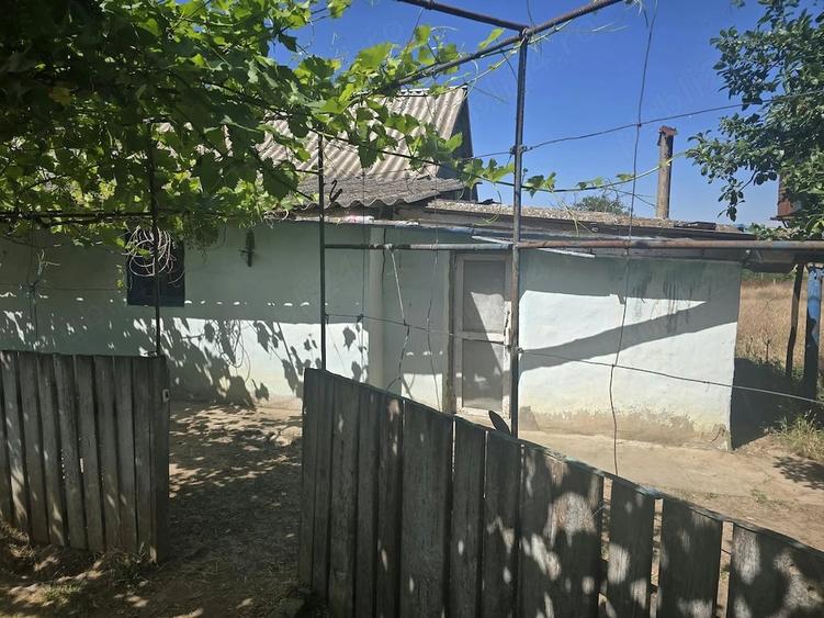 Casă cu 5 camere cu Teren 3900 Mp în Dăeni