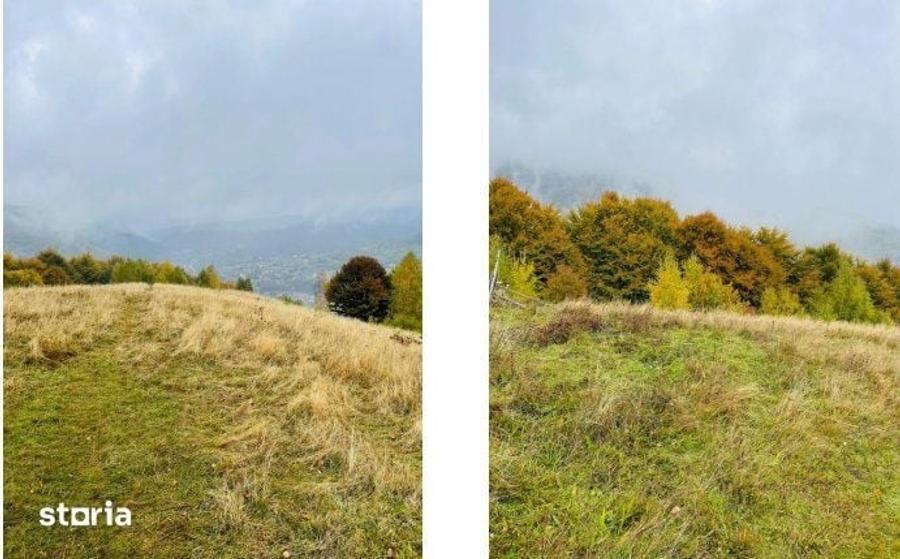 Teren de 8640 mp, în Moieciu