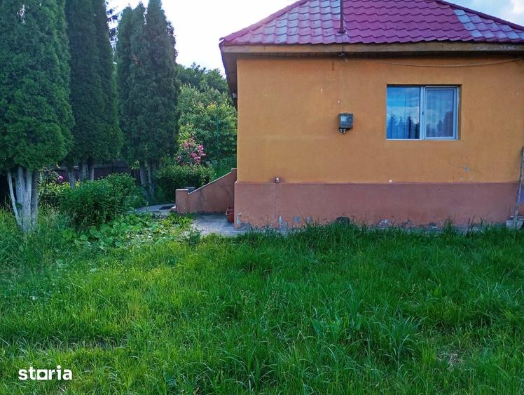 Casă cu 3 camere cu Teren 3000 Mp în Central
