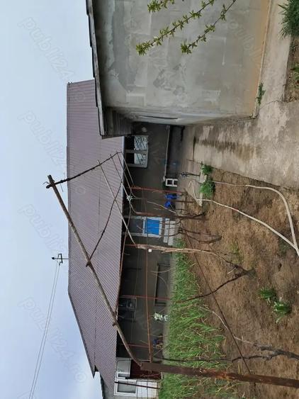 Casă cu 5 camere cu Teren 4000 Mp în Valea Nucarilor