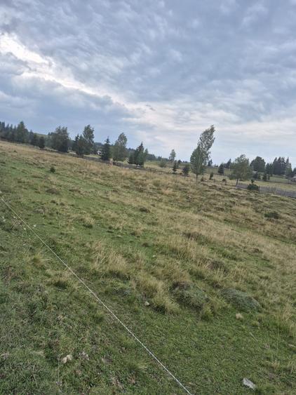 Teren de vanzare, pe Delut, Fundu Moldovei, Suceava - 5