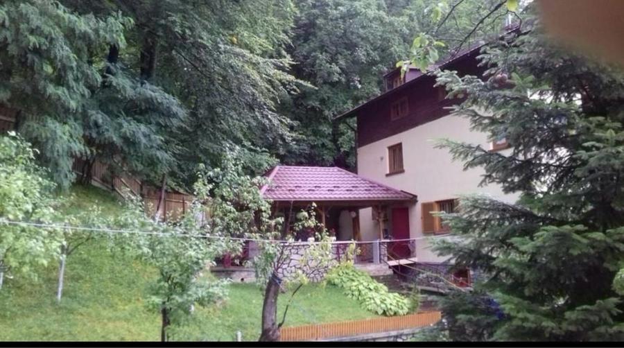 Casă cu 4 camere în Valea Doftanei