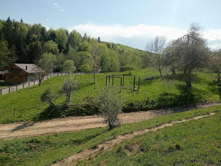 Teren de 1800 mp, în Varvata