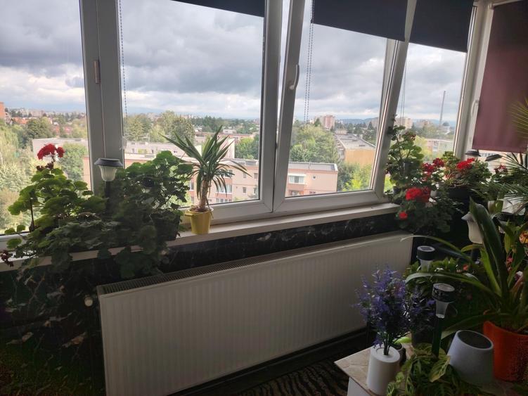 Apartament cu 2 camere nedecomandat în Drumul Carului