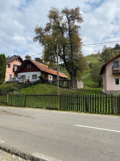 Teren Construcții intravilan de 2085 mp, în Moieciu de Jos