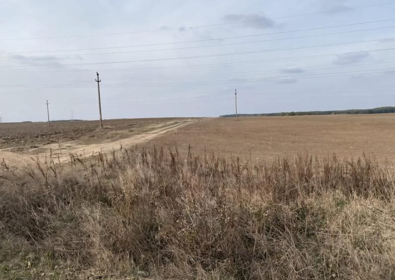 Teren agricol extravilan de 5000 mp, în Malu Mare