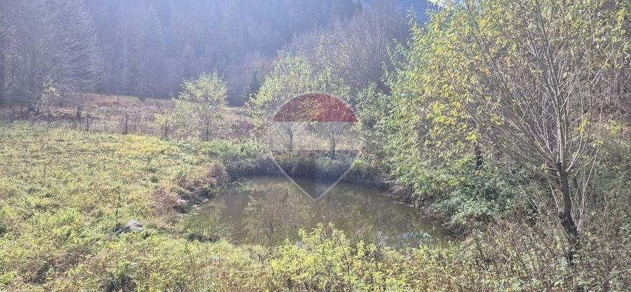 Teren Construcții intravilan de 2800 mp, în Tarcău