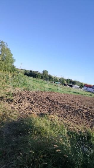 Teren Construcții intravilan de 2722 mp, în Ghercești