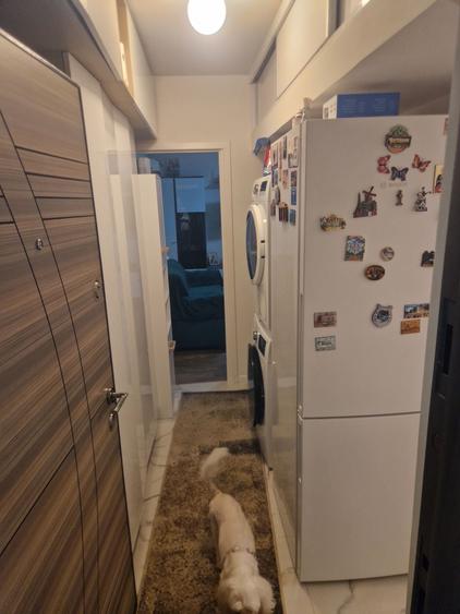 Apartament cu 2 camere nedecomandat în Colanu