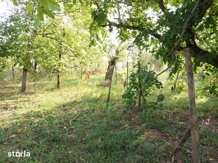Casă cu 6 camere cu Teren 1151 Mp în Ciuchici