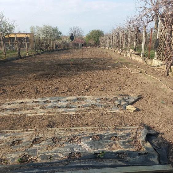 Casă cu 2 camere cu Teren 1776 Mp în Mineri
