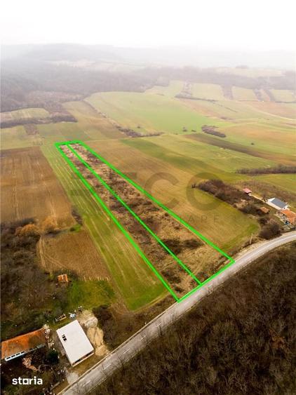 Teren de 13041 mp, în Sârbi