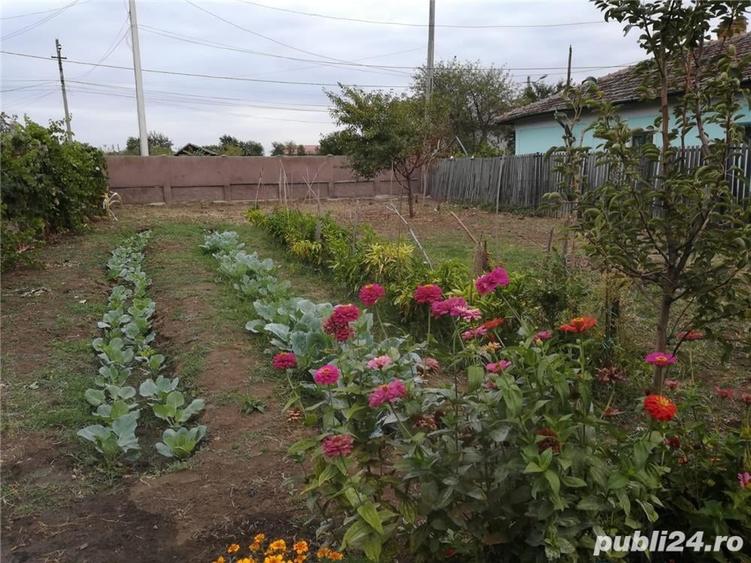 Casă cu 5 camere cu Teren 2800 Mp în Corabia
