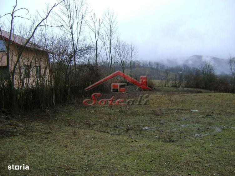 Teren de vanzare in Provita de jos - 7