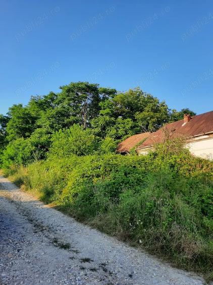 Casă cu 10 camere cu Teren 12000 Mp în Zgribești