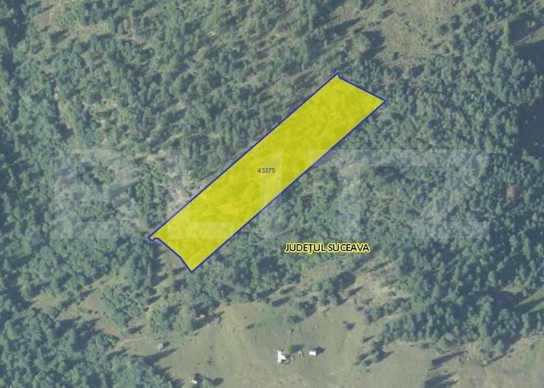 Teren 11.144 mp, pădure, Campulug Moldovenesc - 1
